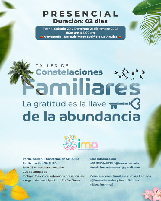 Taller Constelaciones Familiares - Barquisimeto - Venezuela