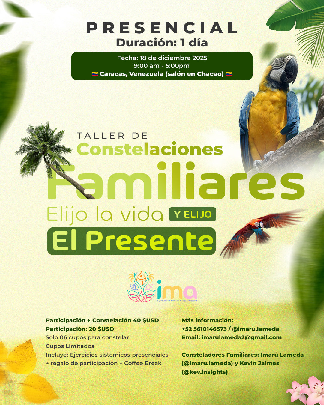 Taller de Constelaciones Familiares - Caracas - Venezuela