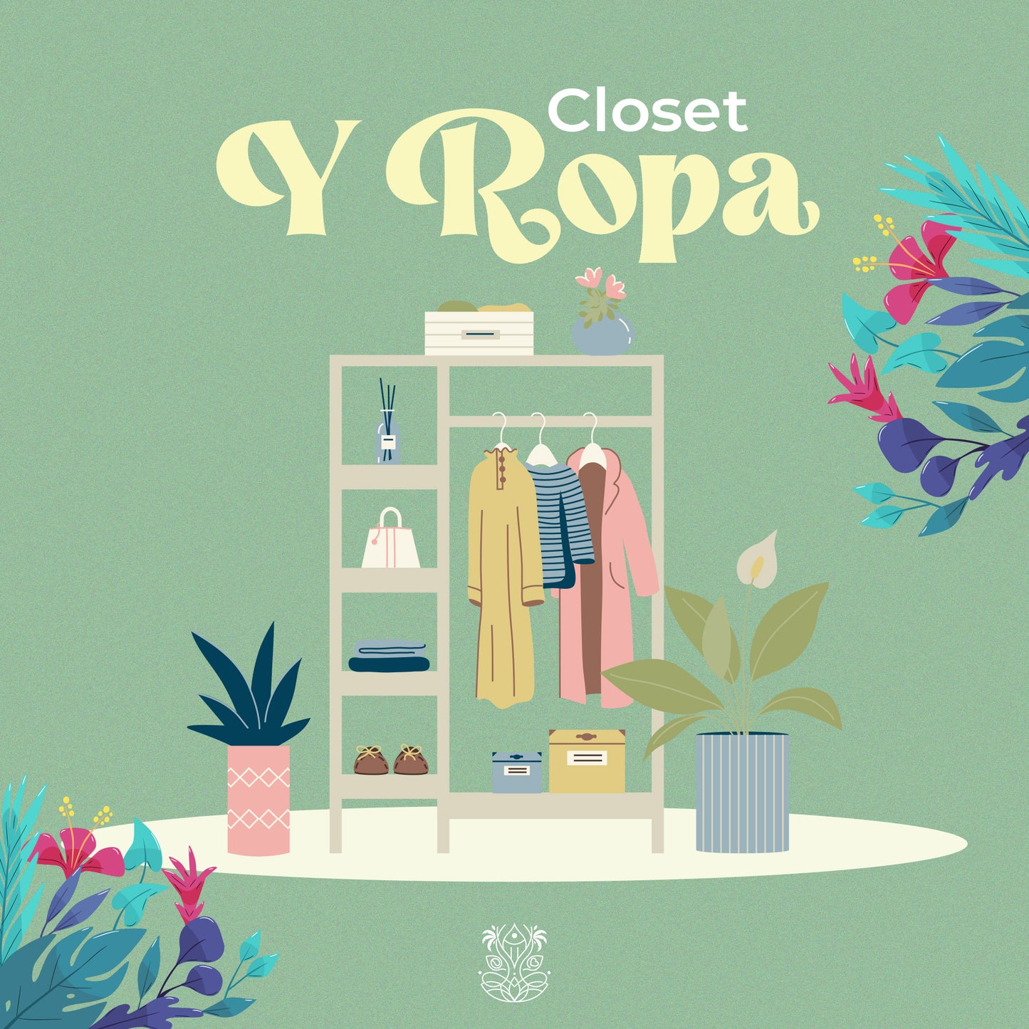 Online 🌏 o Presencial en CDMX👗 Paquete Clóset y Ropa